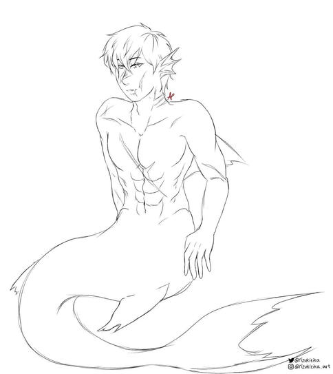 Full Body: 60k / $20